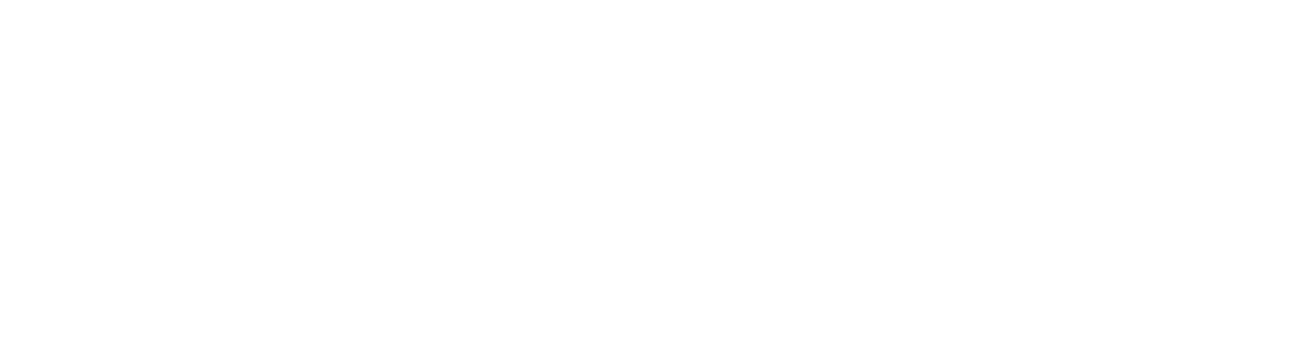 Star in a Bra USA 2017 Logo
